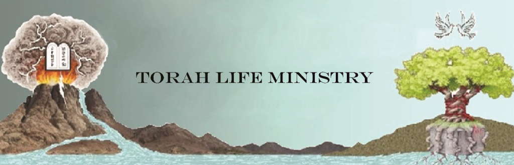 Torahlife Ministry logo with mountain and tree